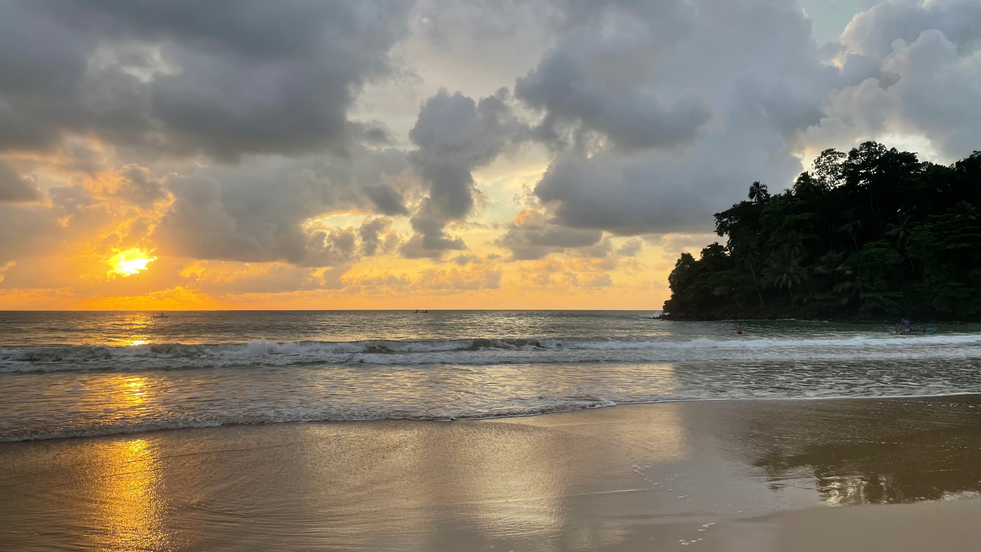 Golden sunset over the beach and palm-covered headland at Talalla, Sri Lanka